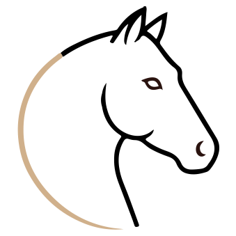 Cavalo & Sabedoria