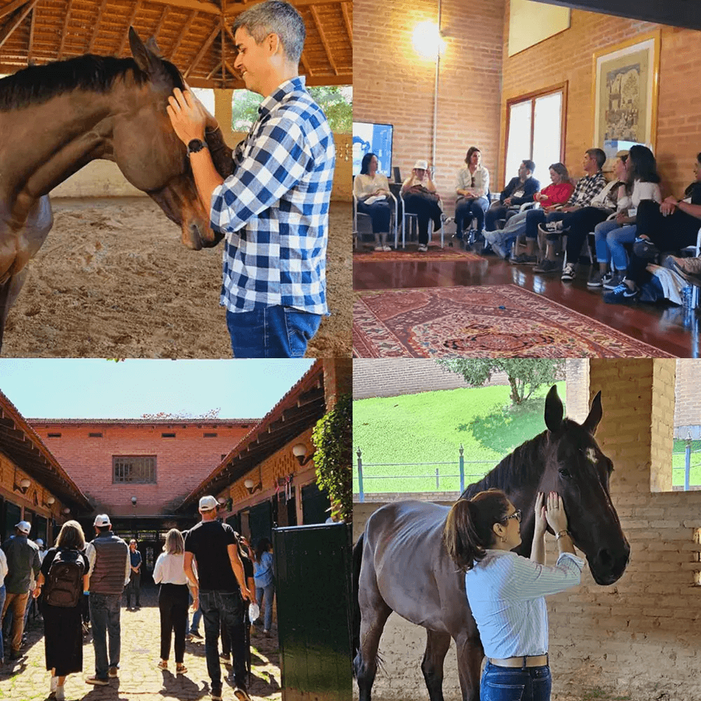 2026 será o Ano do Cavalo de Fogo